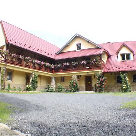 Dom Na Klonowym Wzgorzu Bed & Breakfast Stronie Śląskie Dış mekan fotoğraf