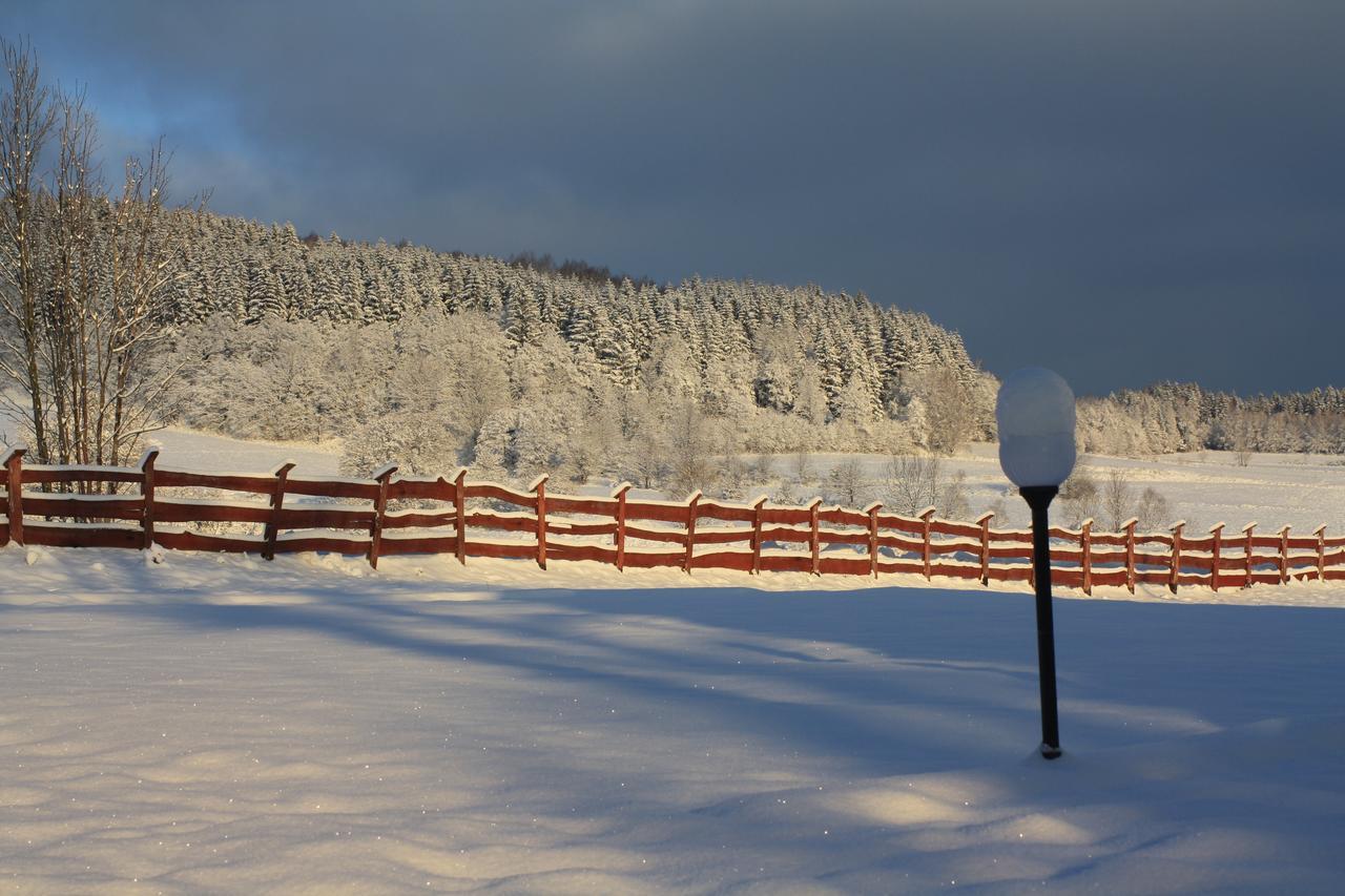 Dom Na Klonowym Wzgorzu Bed & Breakfast Stronie Śląskie Dış mekan fotoğraf