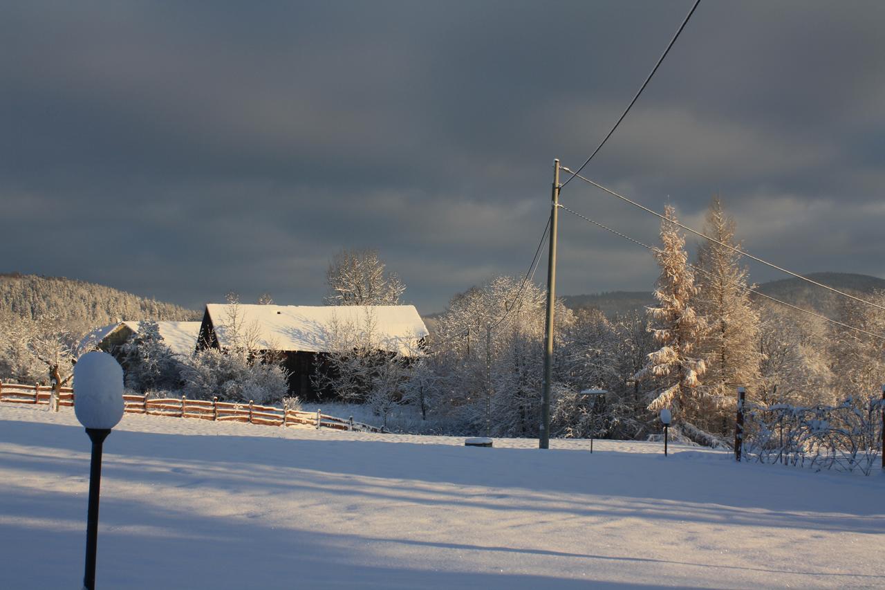 Dom Na Klonowym Wzgorzu Bed & Breakfast Stronie Śląskie Dış mekan fotoğraf