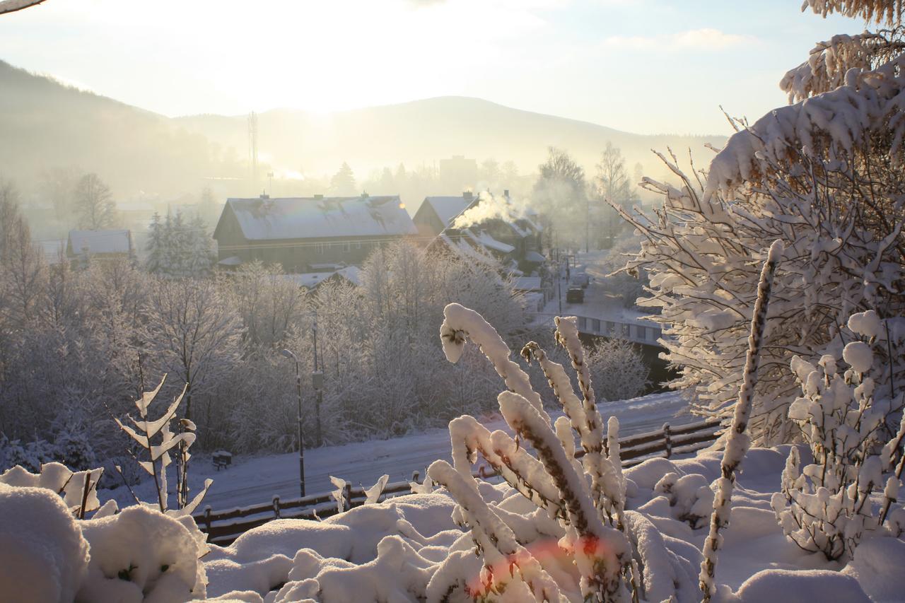 Dom Na Klonowym Wzgorzu Bed & Breakfast Stronie Śląskie Dış mekan fotoğraf