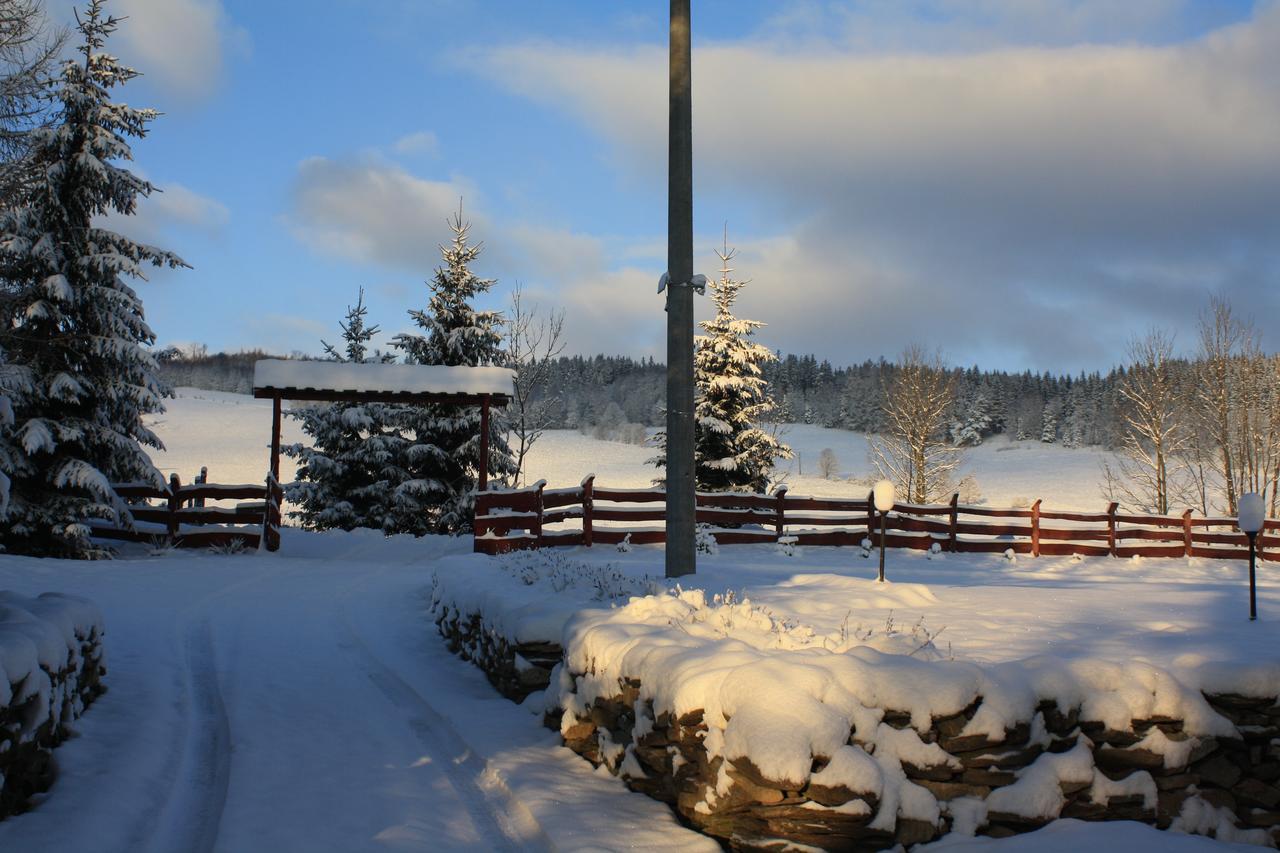 Dom Na Klonowym Wzgorzu Bed & Breakfast Stronie Śląskie Dış mekan fotoğraf