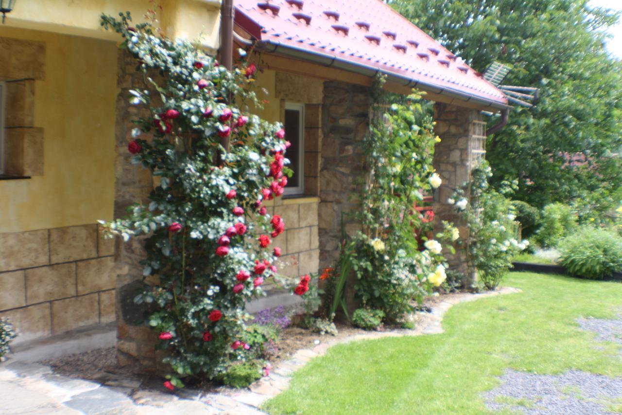 Dom Na Klonowym Wzgorzu Bed & Breakfast Stronie Śląskie Dış mekan fotoğraf