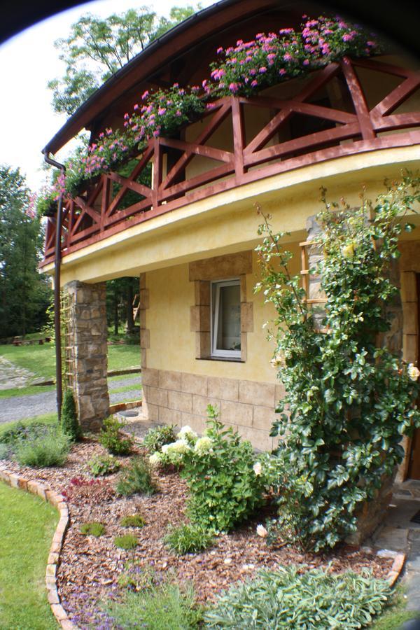 Dom Na Klonowym Wzgorzu Bed & Breakfast Stronie Śląskie Dış mekan fotoğraf