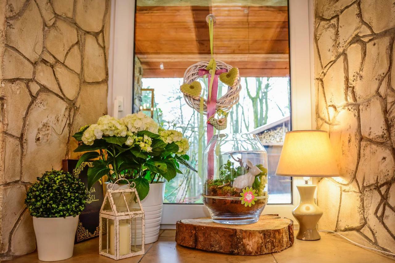 Dom Na Klonowym Wzgorzu Bed & Breakfast Stronie Śląskie Dış mekan fotoğraf