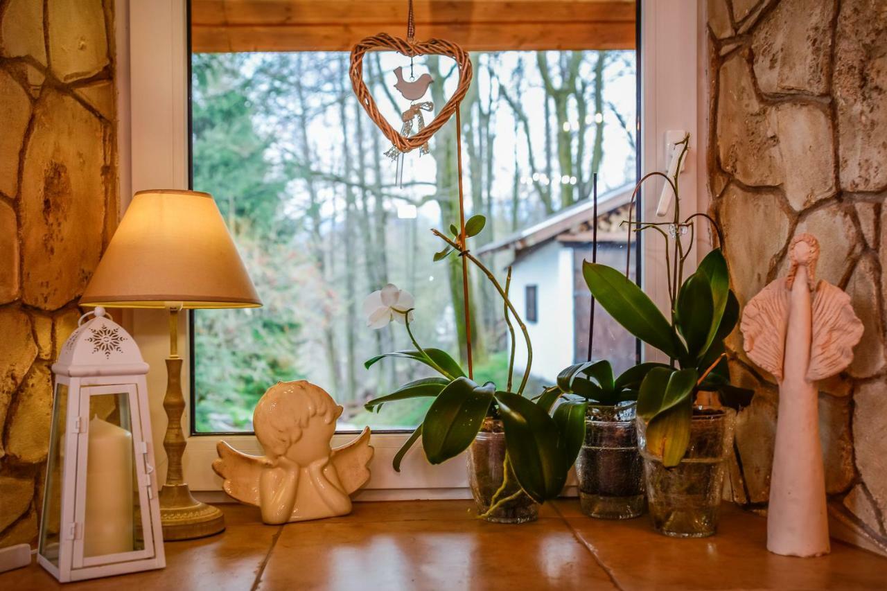 Dom Na Klonowym Wzgorzu Bed & Breakfast Stronie Śląskie Dış mekan fotoğraf